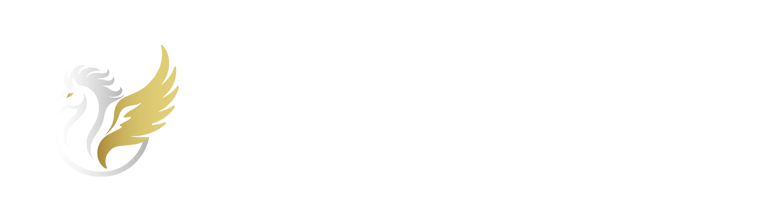 HOTZA888 (ฮอตซ่า888) - LOGO